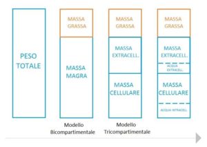 bioimpedenziometria