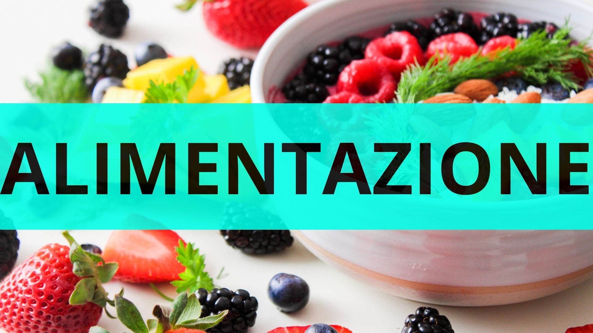 ARTICOLI ALIMENTAZIONE